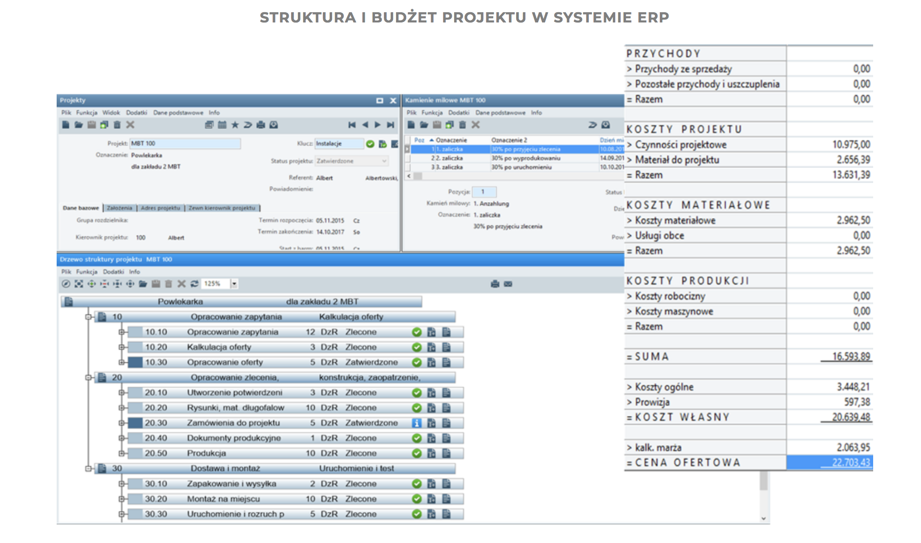 struktura i budzet projektu w systemie erppng