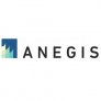 ANEGIS Consulting